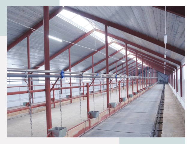 Строительство коровников в Горячем Ключе от 620 руб.