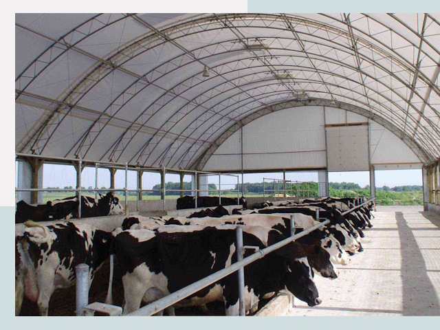 Тентовые коровники в Горячем Ключе